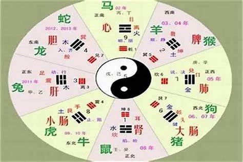 嫣 五行|嫣字五行属性是什么